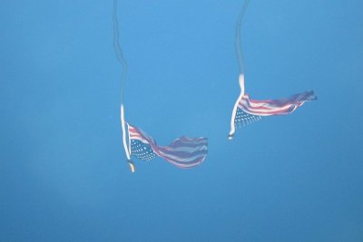 Reflected Flags