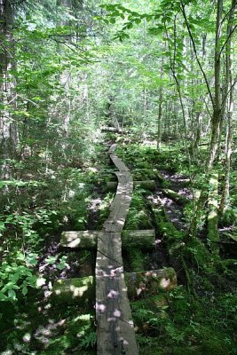 Off the Beaten Path