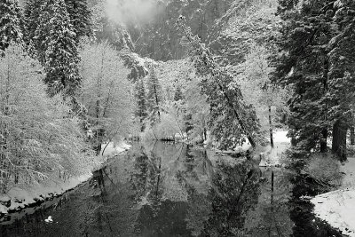 Merced River Reflection