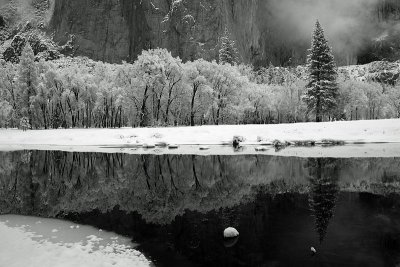 Trees, Snow and Rock
