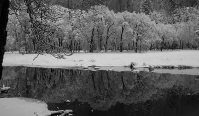 Reflection 2