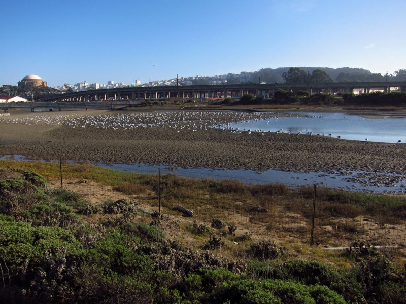 Restored marsh lands 3135