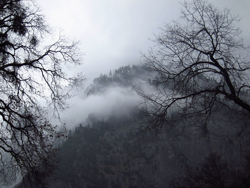 At the entrance to the path to Lower Yosemite Falls, Day 2  #3683,