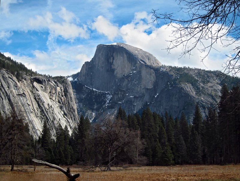 Half dome from Cooks Meadow, Day 3, S95 #3801