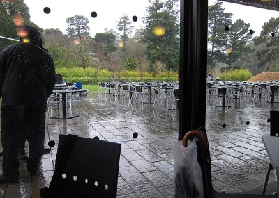 Rainy day from de Young Museum cafe - mImg_1917