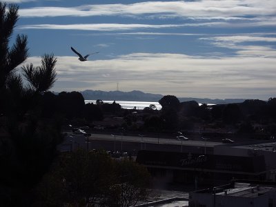 Sutro Tower, San Francisco, across the bay