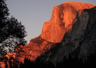 Alpine glow of  Half Dome from  meadow in Yosemite Valley #1773