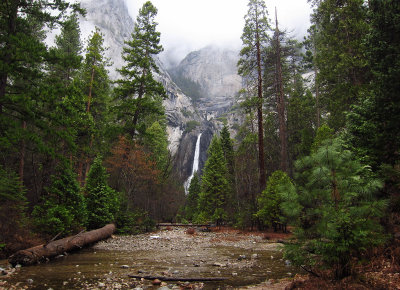 Lower Yosemite Falls View from path to it, in rain.  Day 2. S95. #3690.