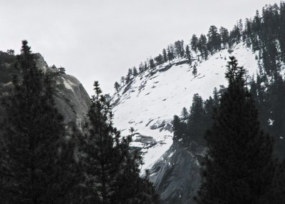 Half Dome's left, snowy section (Winter 2012). #2342