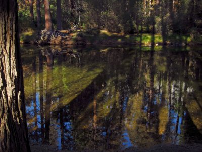 Merced River, reflections, shadows, and highlights. #2781