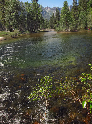 Merced River green waters and rafters from Swinging Bridge in Cook's Meadow. 4207fcr