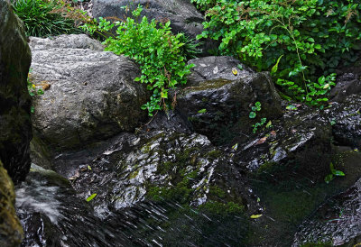 Tiny waterfall at bottom left. Click on original for larger images.  #00367