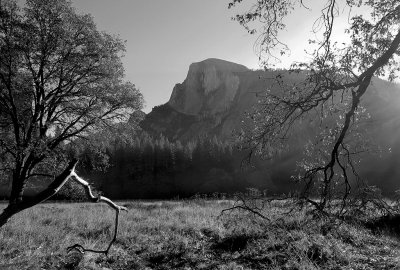 Half Dome from Cook's Meadow. (Learning to work in b&w) #2763bw 