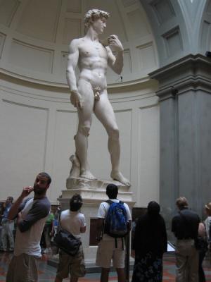 Michelangelo's David.  Light on visitor's right hand mirrors David's left.
