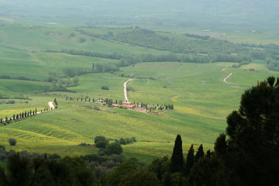 Pienza countryside