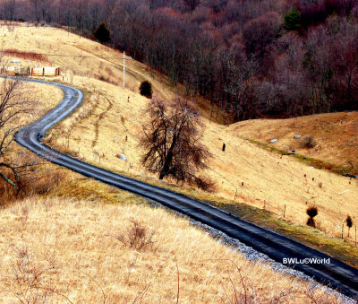 shenandoah national park US  2008 Jan