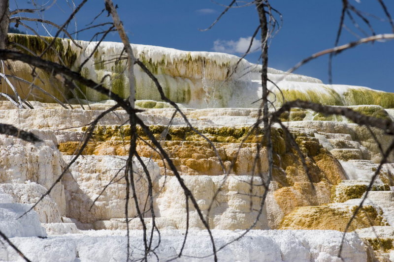 Yellowstone_MG_8243.jpg