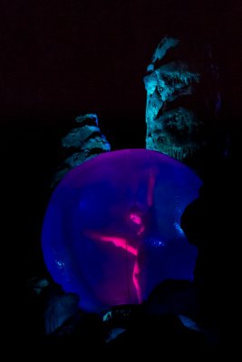 IMG_2658.jpg