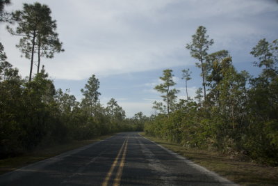 Everglades