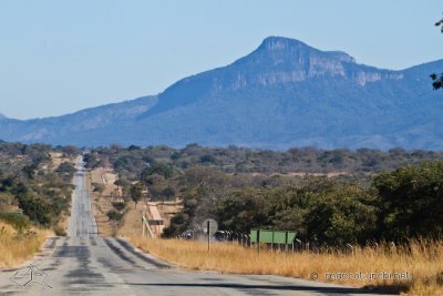 Kruger Park_5737