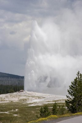 Yellowstone_MG_7854.jpg