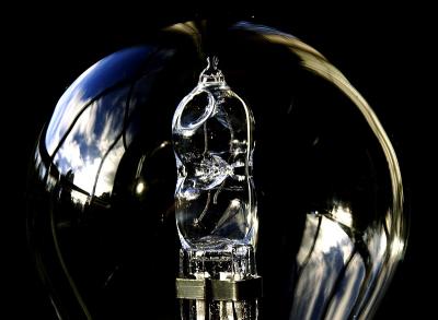 Bust Halogen Bulb by Mike Parsons