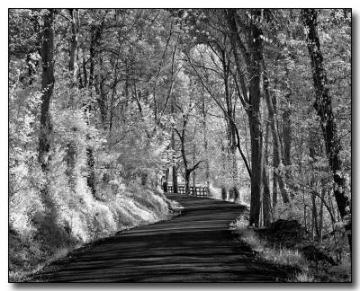 country road  by Katherine Kenison