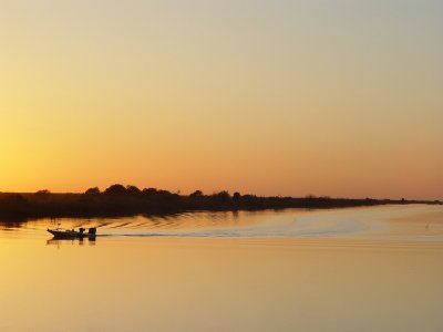 Golden Glow by Justin Miller