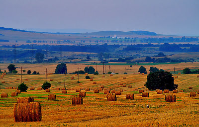 Harvested Fields by MCsaba