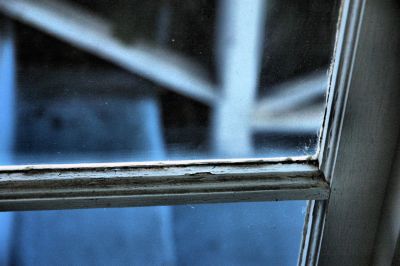 Pane