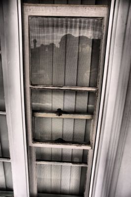 Window Screen