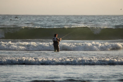 July 27- The Surf Fisher