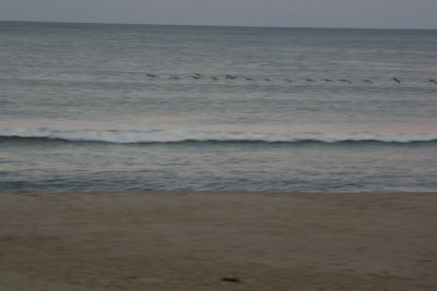 frinight 020.JPG