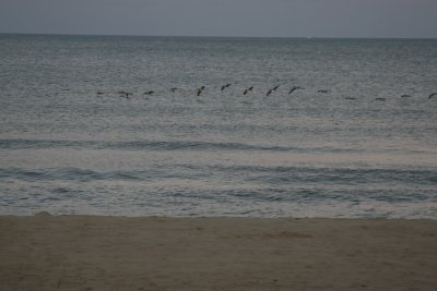 frinight 022.JPG