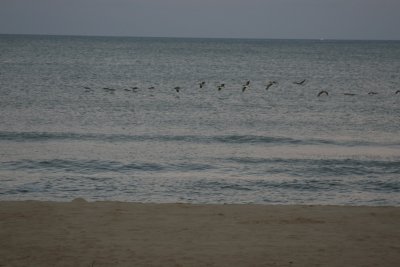 frinight 023.JPG