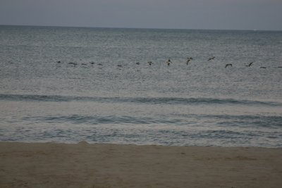 frinight 024.JPG