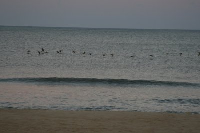 frinight 027.JPG
