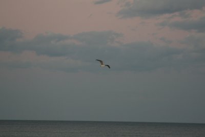 frinight 039.JPG