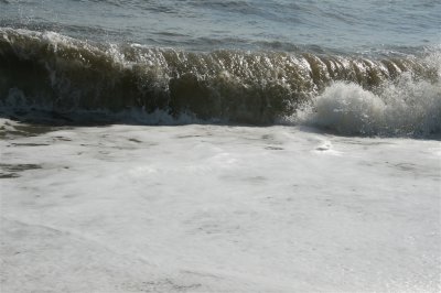 Beach Crop Oct 11_0003.jpg