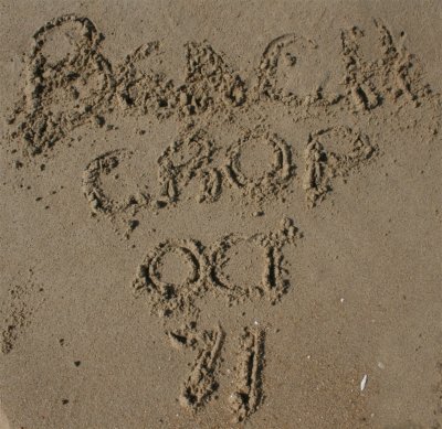Fall Beach Crop 2011 - Friday