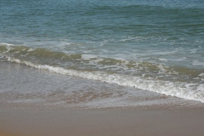 IMG_6076.JPG
