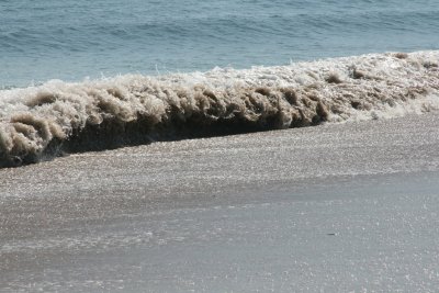 IMG_6078.JPG