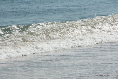 IMG_6081.JPG