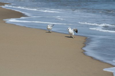 IMG_6100.JPG