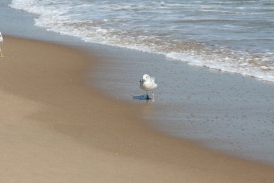 IMG_6103.JPG