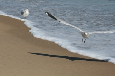 IMG_6105.JPG