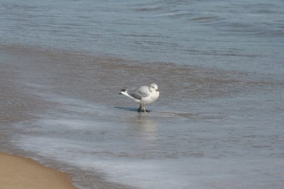 IMG_6106.JPG