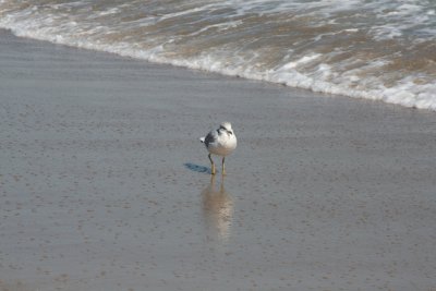 IMG_6107.JPG