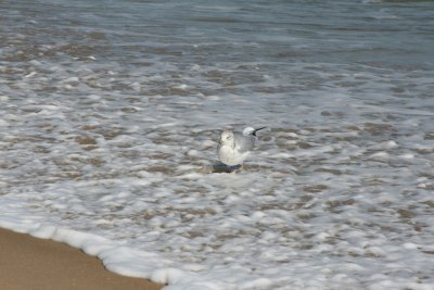 IMG_6108.JPG