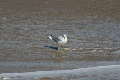 IMG_6109.JPG